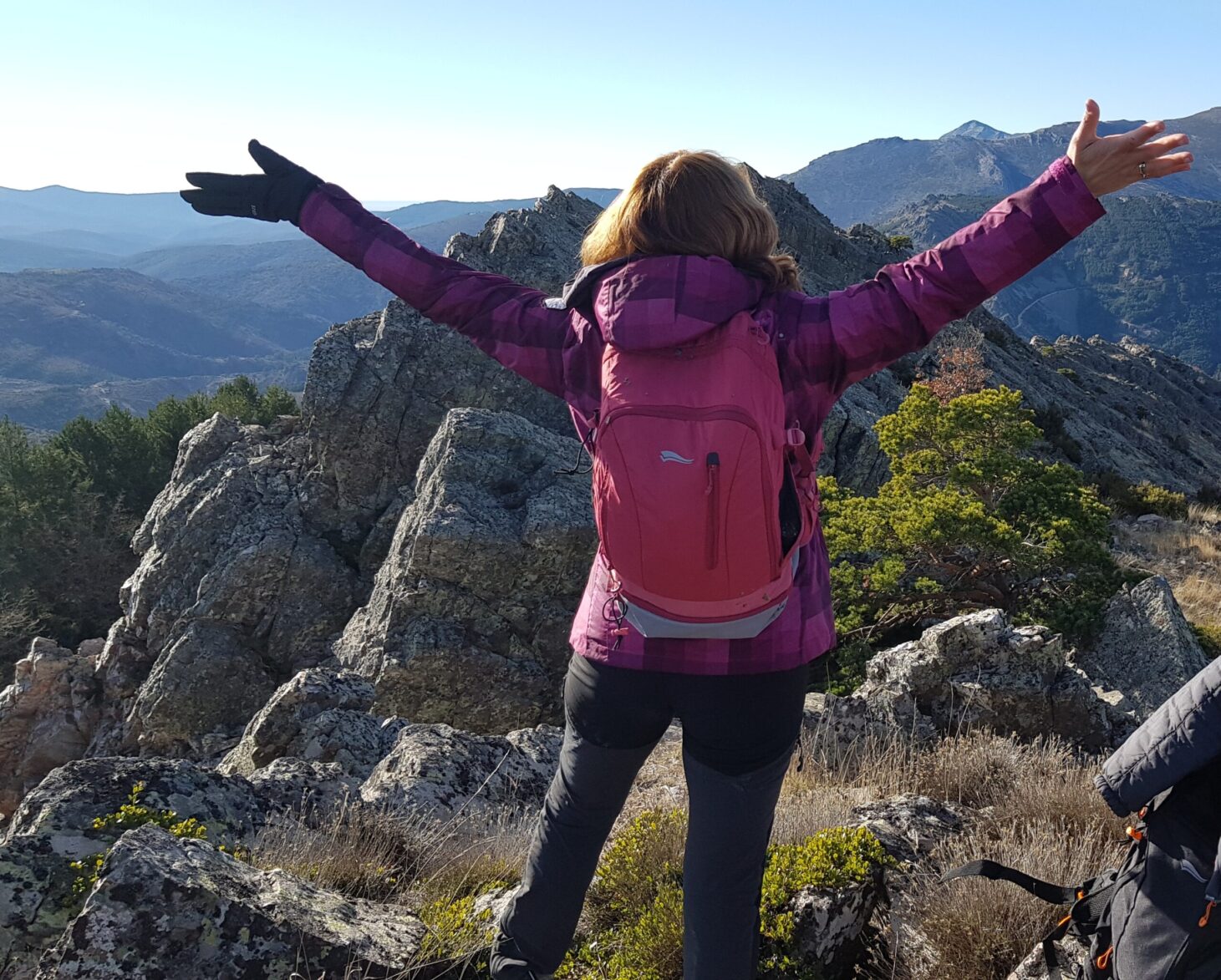 What  mountains taught me