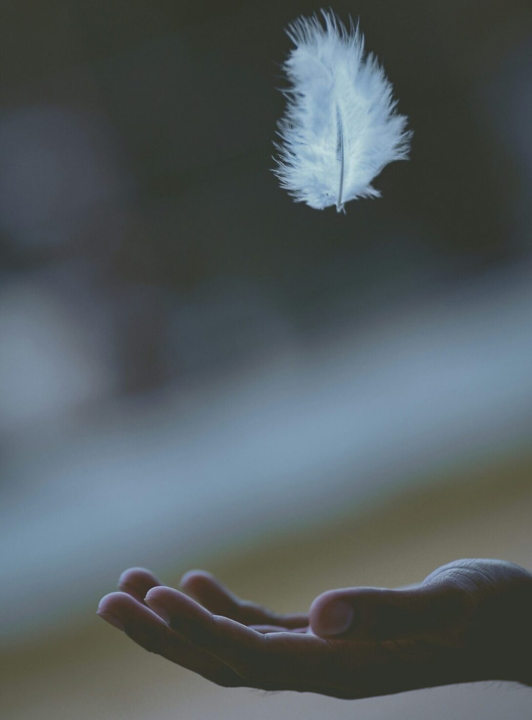 The Power of Routines: Calming the Limbic System to Create an Environment Ready for Teaching and Learning